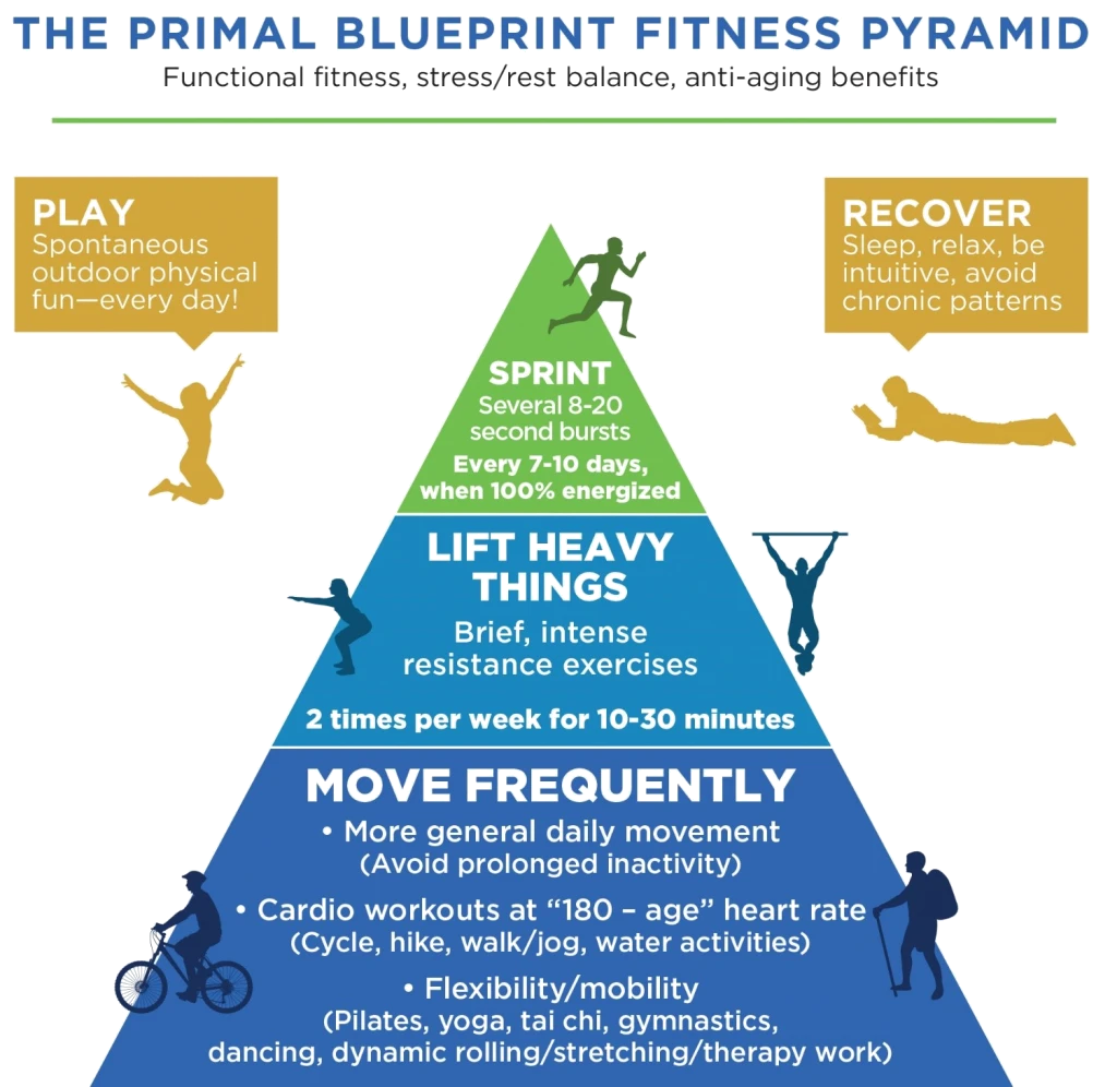 PrimalFitnessPyramid